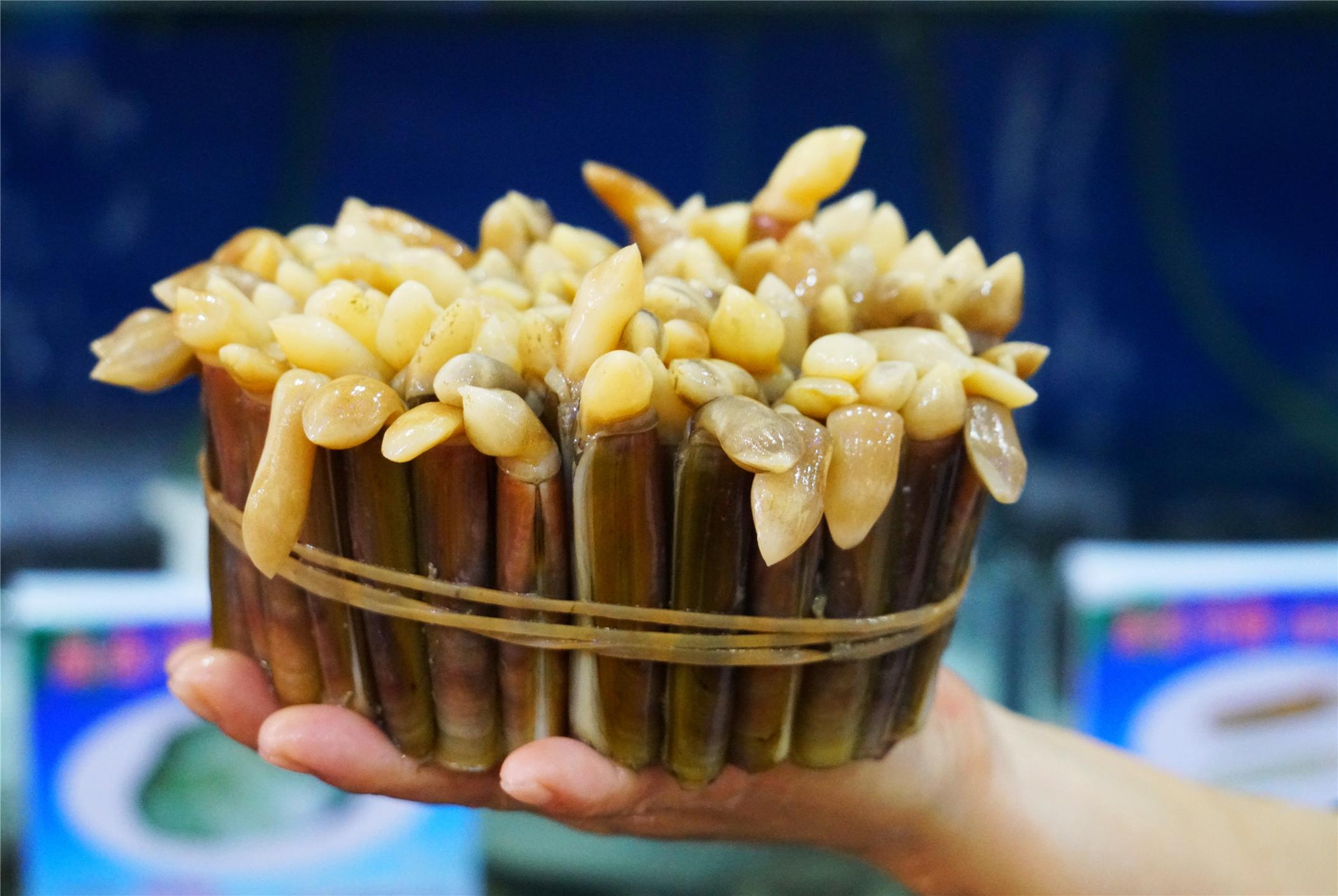 三亞最新景點(diǎn)探索，熱帶風(fēng)情的新面貌